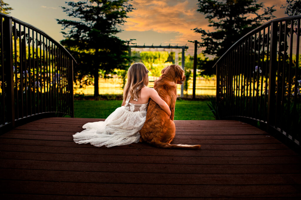Little girl watching sunset with golden retriever buddy. Kendra Evans photography Rough and Ready Vineyards